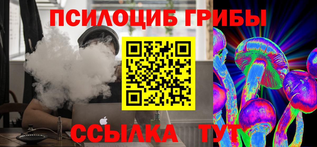 Псилоцибиновые грибы Psilocybine cubensis  Вход с VPN  Кисловодск  Галлюциногенные грибы Cubensis 